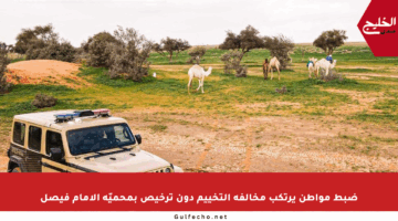 ضبط مواطن يرتكب مخالفة التخييم دون ترخيص بمحميّة الإمام فيصل